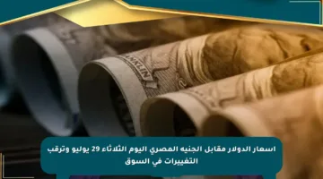أسعار الدولار مقابل الجنيه المصري اليوم الثلاثاء 29 يوليو وترقب التغييرات في السوق